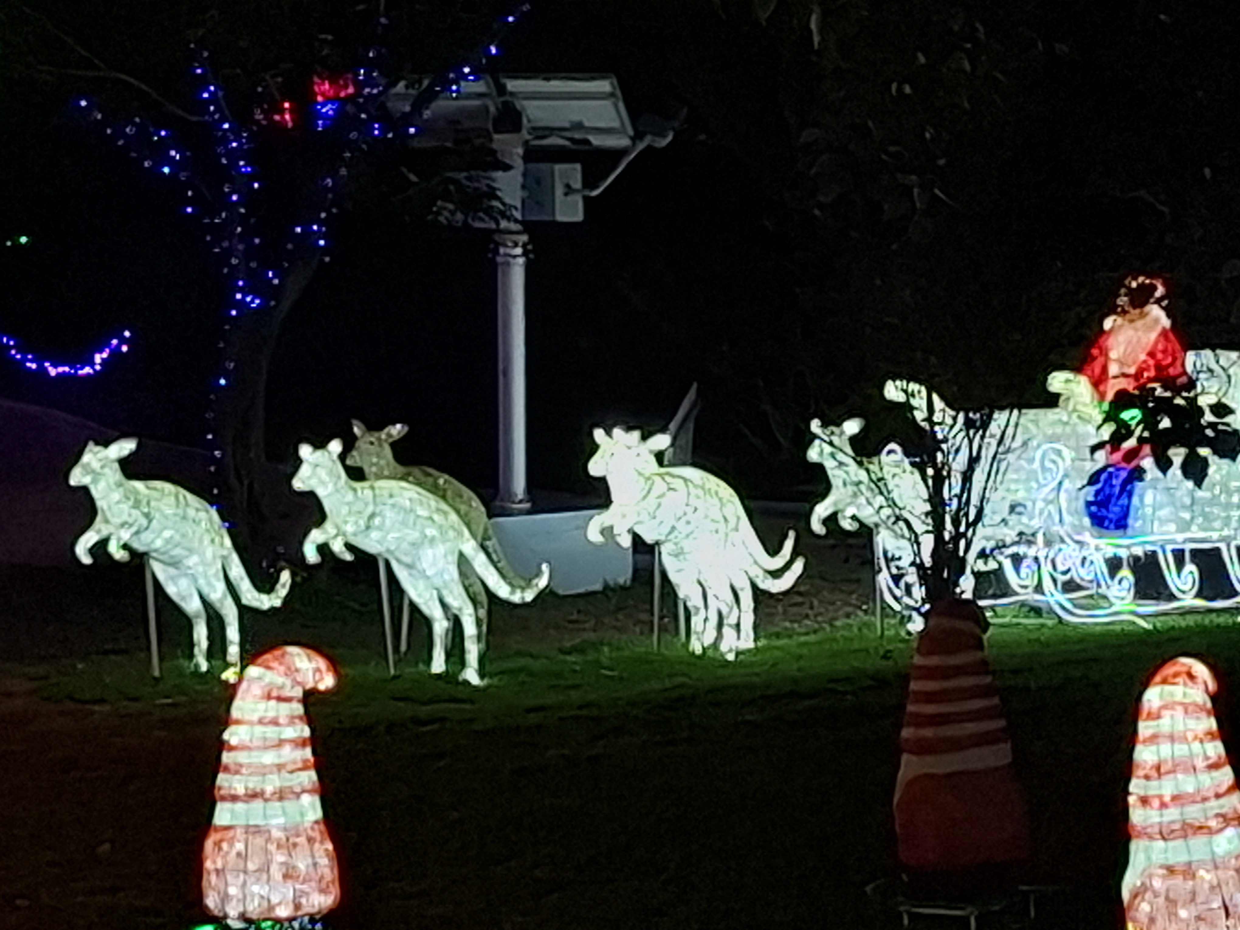 Hunter Valley Gardens Lights